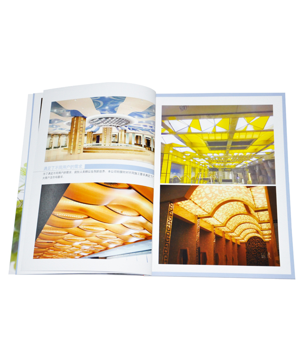 企業(yè)宣傳畫冊 企業(yè)宣傳畫冊