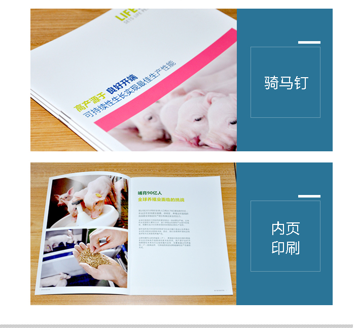 北京泰高營(yíng)養(yǎng)科技有限公司