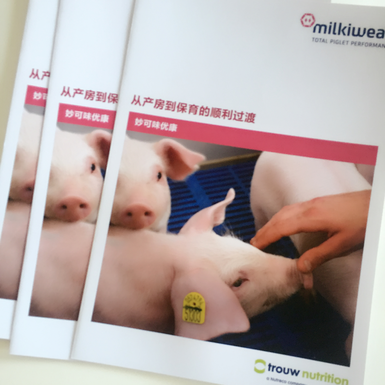 折頁(yè)印刷廠-豪彩佳印