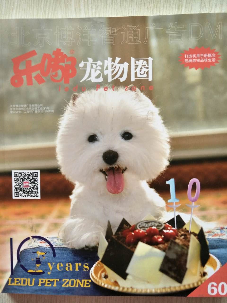 企業(yè)宣傳冊印刷——豪彩佳印做印刷您放心! 企業(yè)宣傳冊印刷——豪彩佳印做印刷您放心!